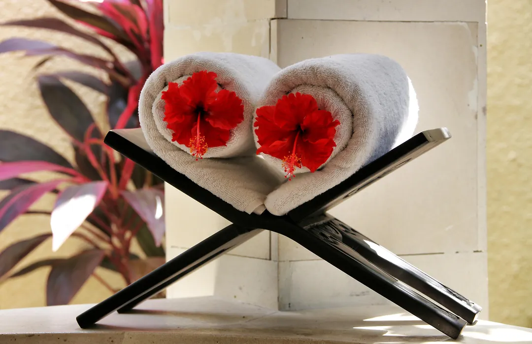 The Sanyas Suite-1